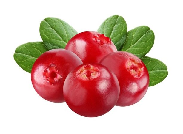 Cranberry - Uromexil composition