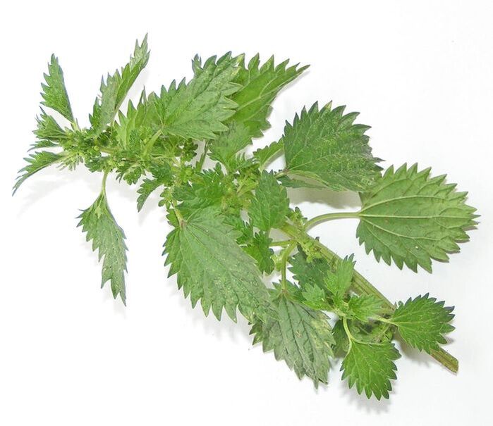 Nettle - Uromexil composition