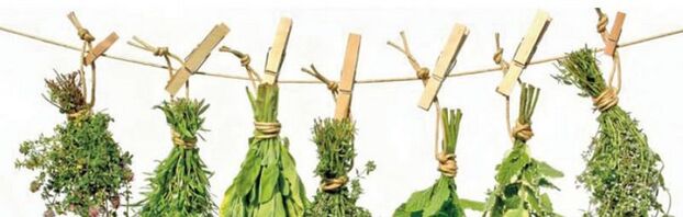 Effective herb from prostate